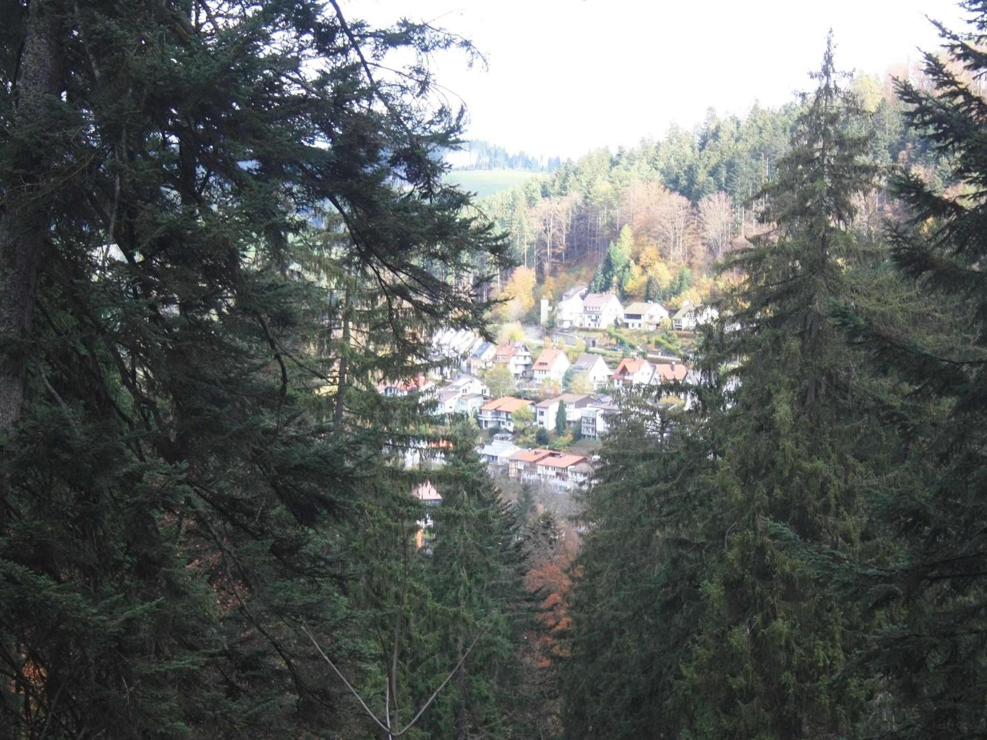 Relaxapartments Black Forest Moments - Maisonette-Wohnung Mit Sonnenbalkon, Schnelles Internet, Naehe Triberger Wasserfaelle, Fuer Bis Zu 4 Personen Schönwalde 外观 照片